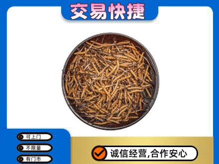 桂林市阳朔礼品回收虫草.jpg